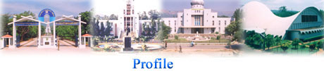 profile.jpg