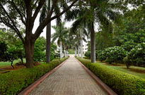 1587289359_LEN0587.jpg