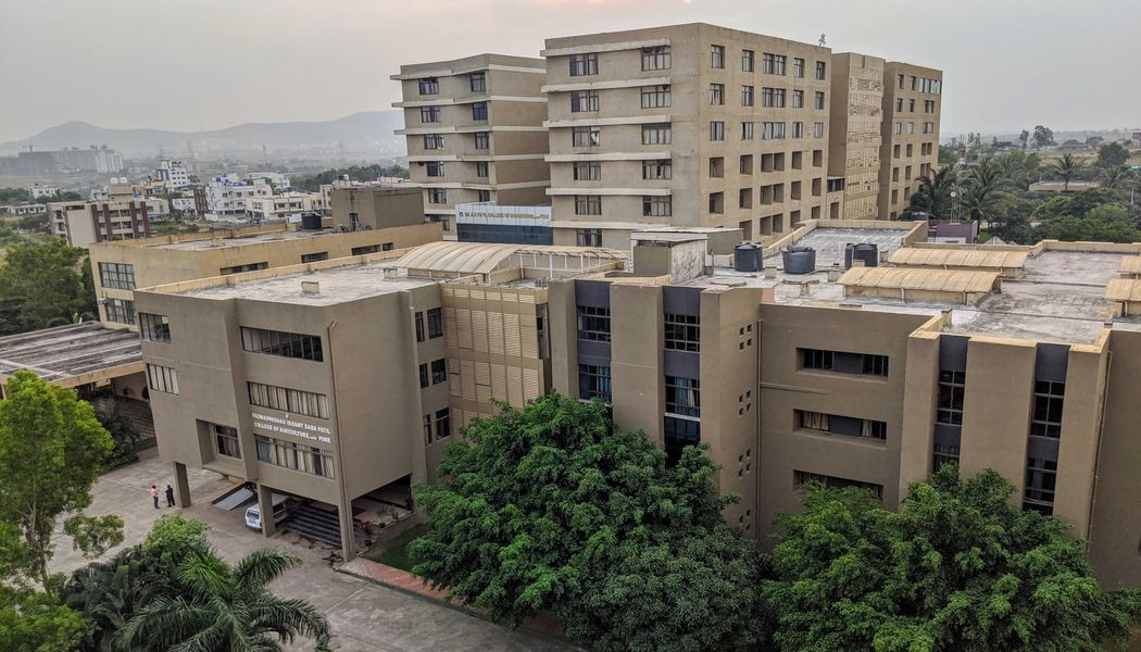 campus1.jpeg