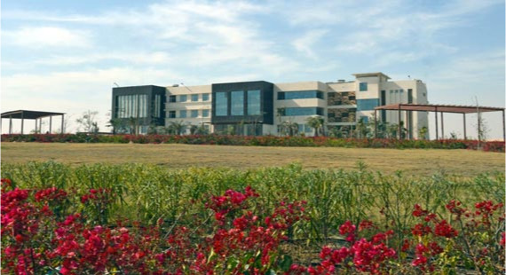 green-campus.jpg