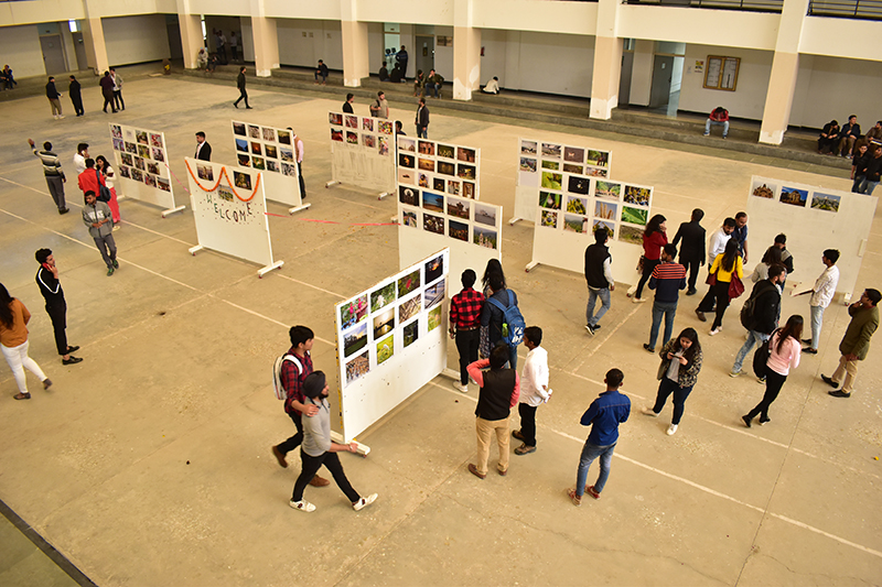 Exhibition-Life-Lens-3.jpg
