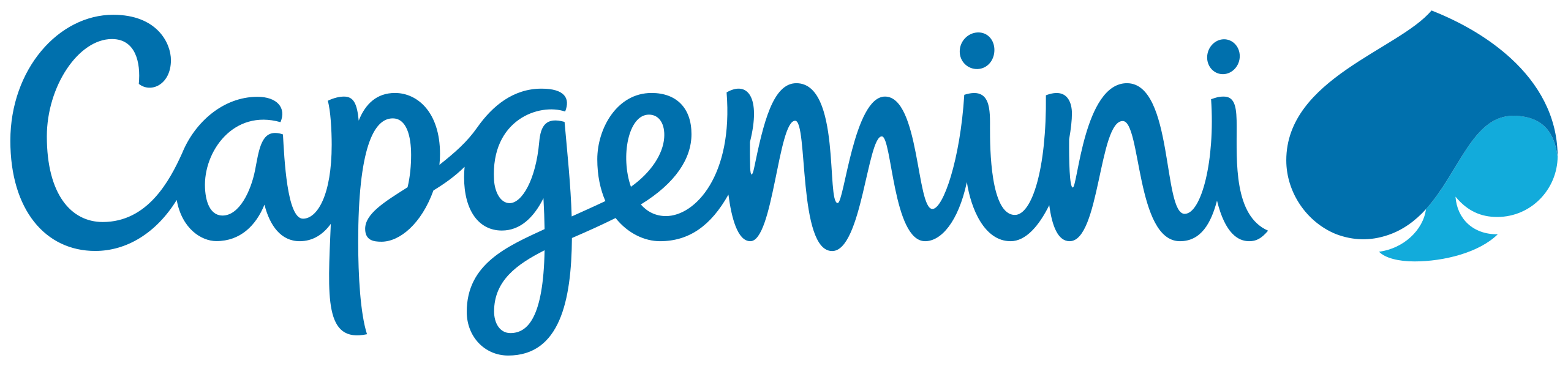 Capgemini_201x_logo.svg.png