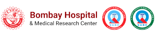 bh-logo2.png