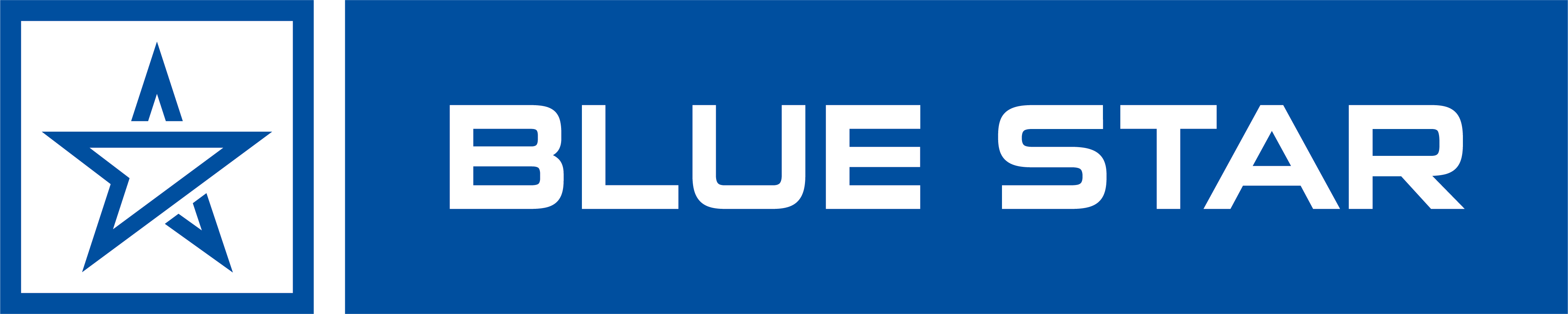 Blue_Star_primary_logo.png